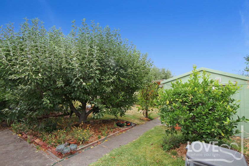 Charming Family Home - Furnished or Unfurnished, Take Your Pick!