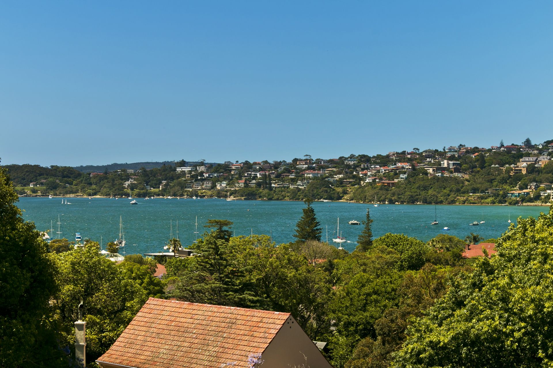 44 Cranbrook Road, Bellevue Hill, Bellevue Hill - Thumbnail 3