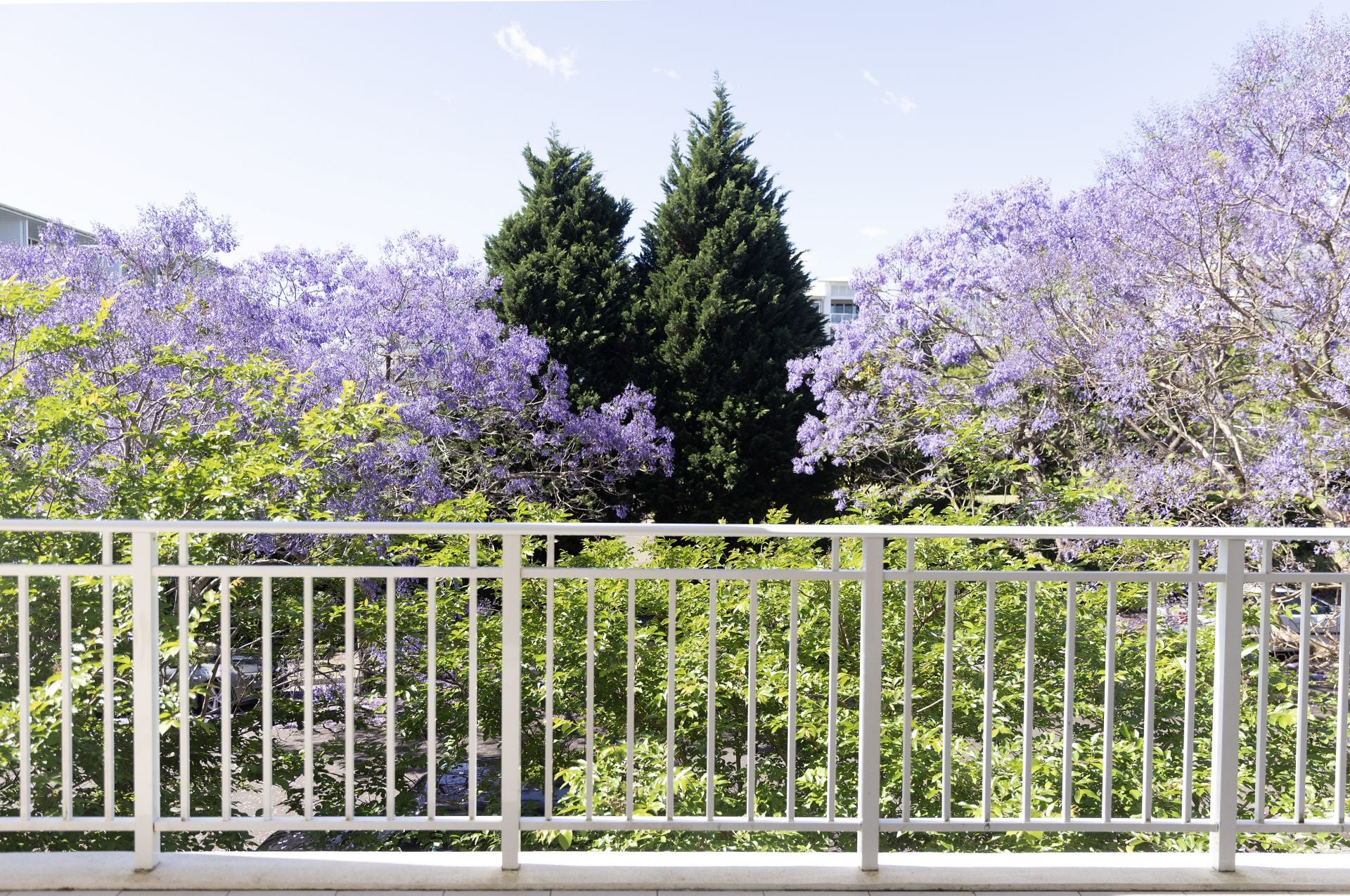 210/3 Palm Avenue Breakfast Point NSW, Breakfast Point - Thumbnail 6