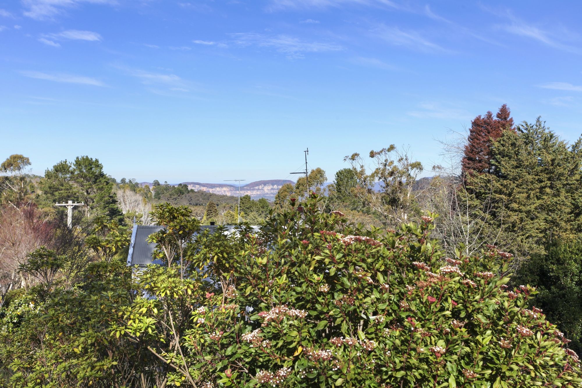 1 Murray Street Leura 2780