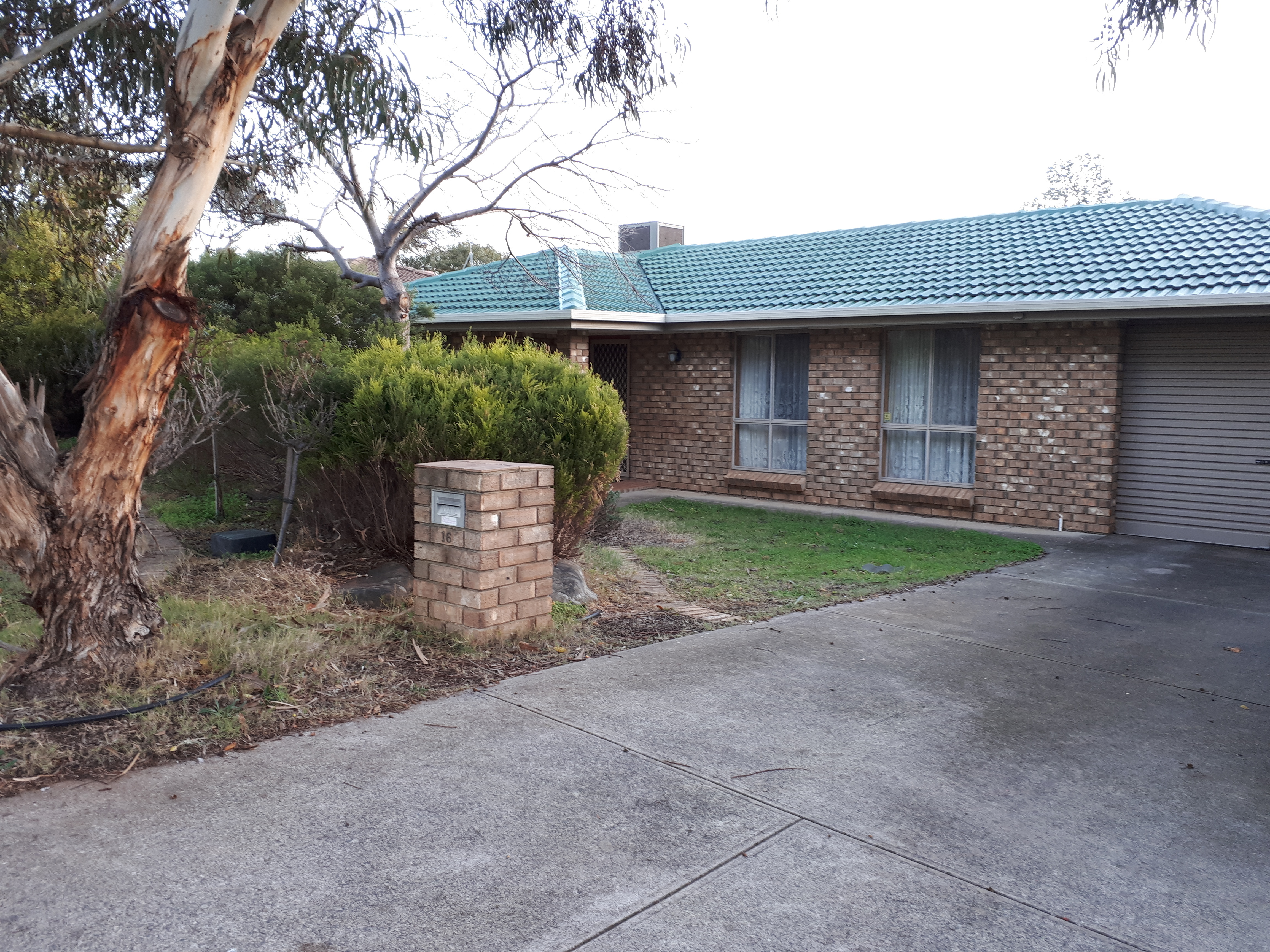 16 Grace Court Morphett Vale 5162