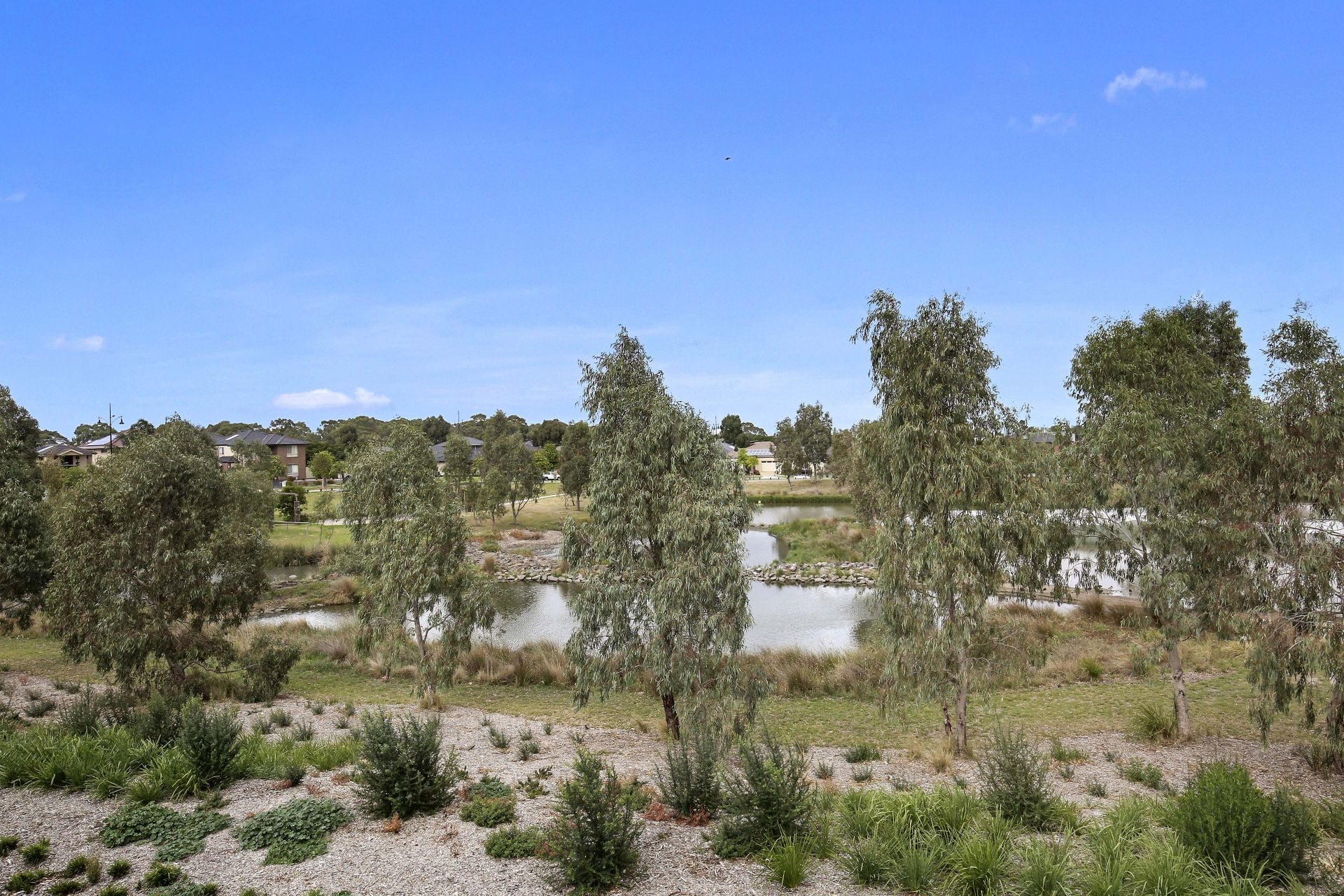 Opposite The Park, Overlooking The Lake