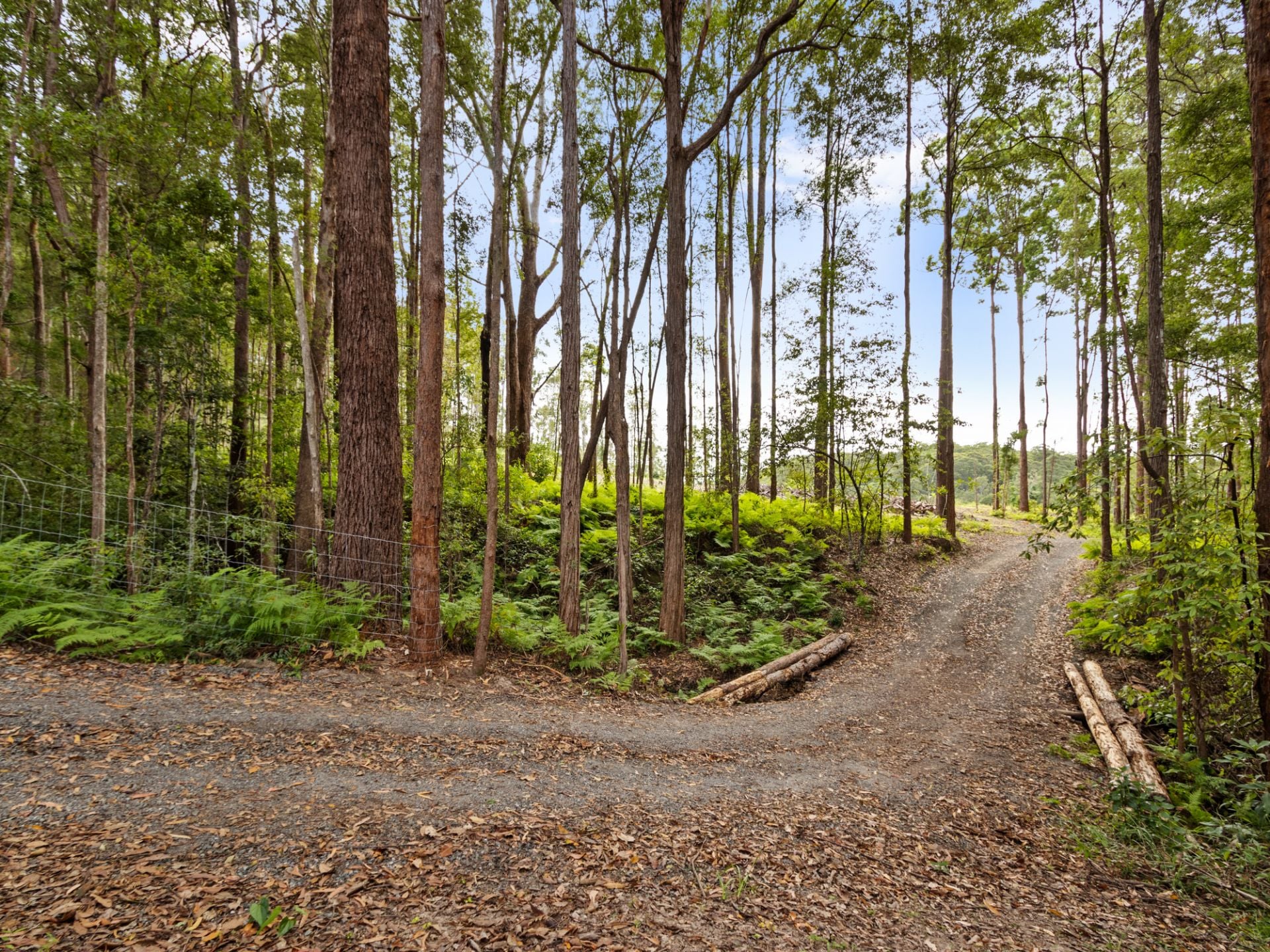 Yandina, Yandina - Thumbnail 2