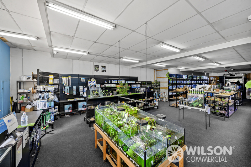 3a  Olsen Street FRANKSTON VIC, Frankston - Thumbnail 4