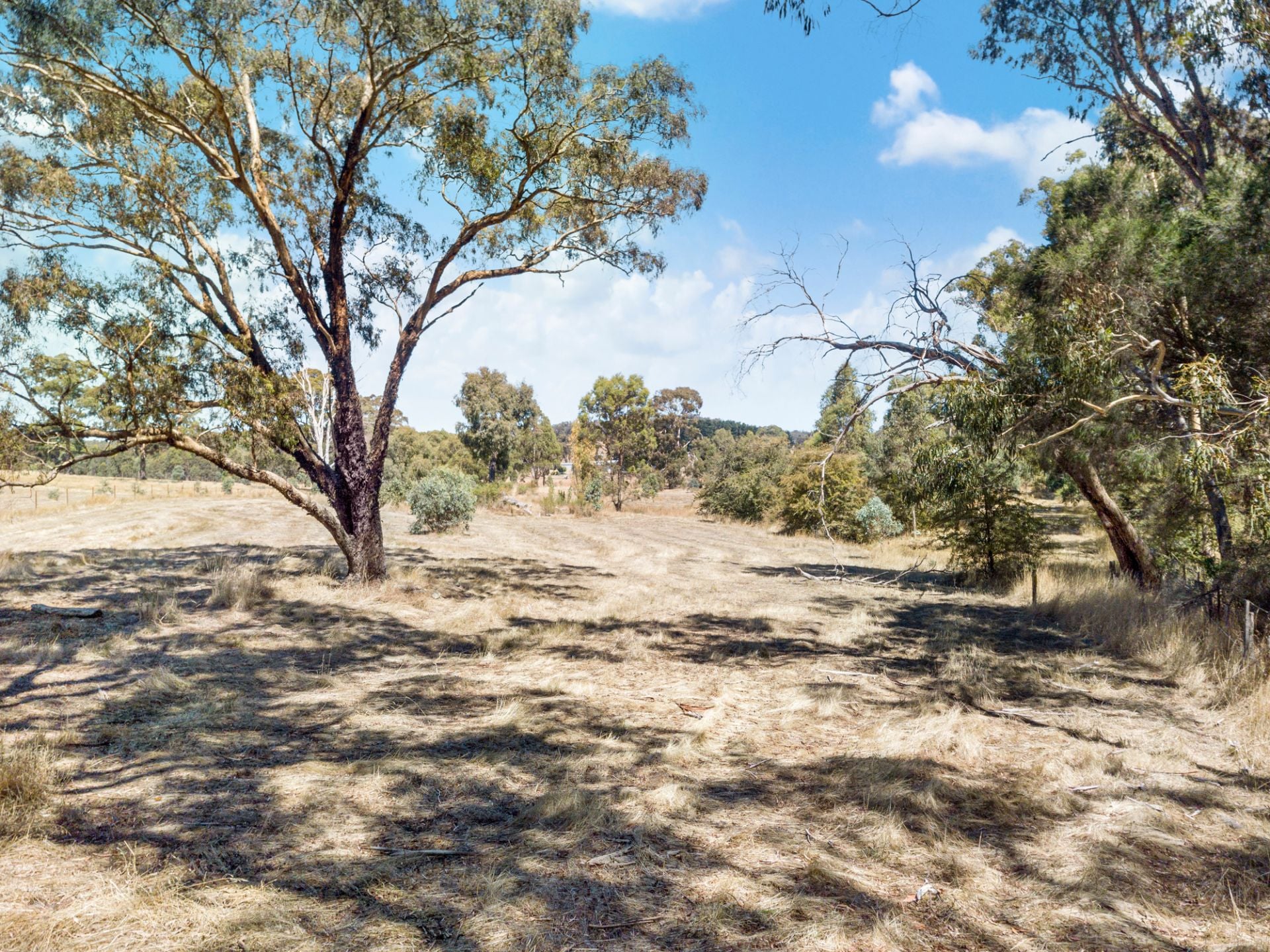 371 Musical Gully Road, Waterloo, Waterloo, Waterloo - Thumbnail 6