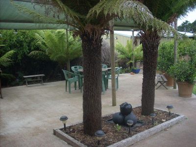 810 Port Sorell Road, WESLEY VALE, Wesley Vale - Thumbnail 7