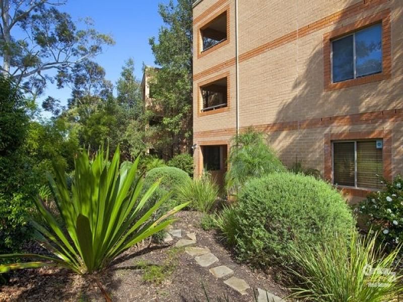 24/506 Pacific Highway LANE COVE NORTH NSW, North - Thumbnail 2
