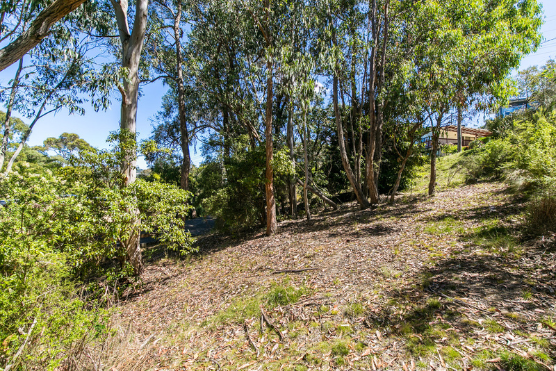 20 Richardson Boulevard, Lorne, VIC, Lorne - Thumbnail 4