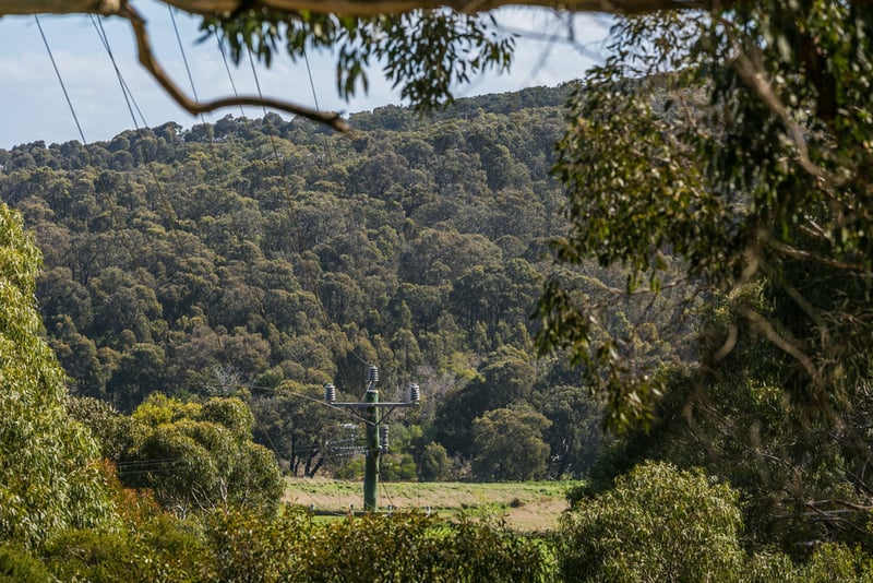 54 Aireys Street, Aireys Inlet, VIC, Aireys Inlet - Thumbnail 4