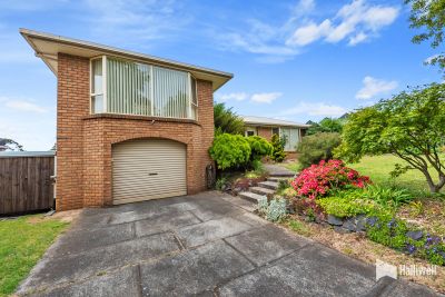 138 Upper Maud Street, West Ulverstone, West Ulverstone - Thumbnail 3