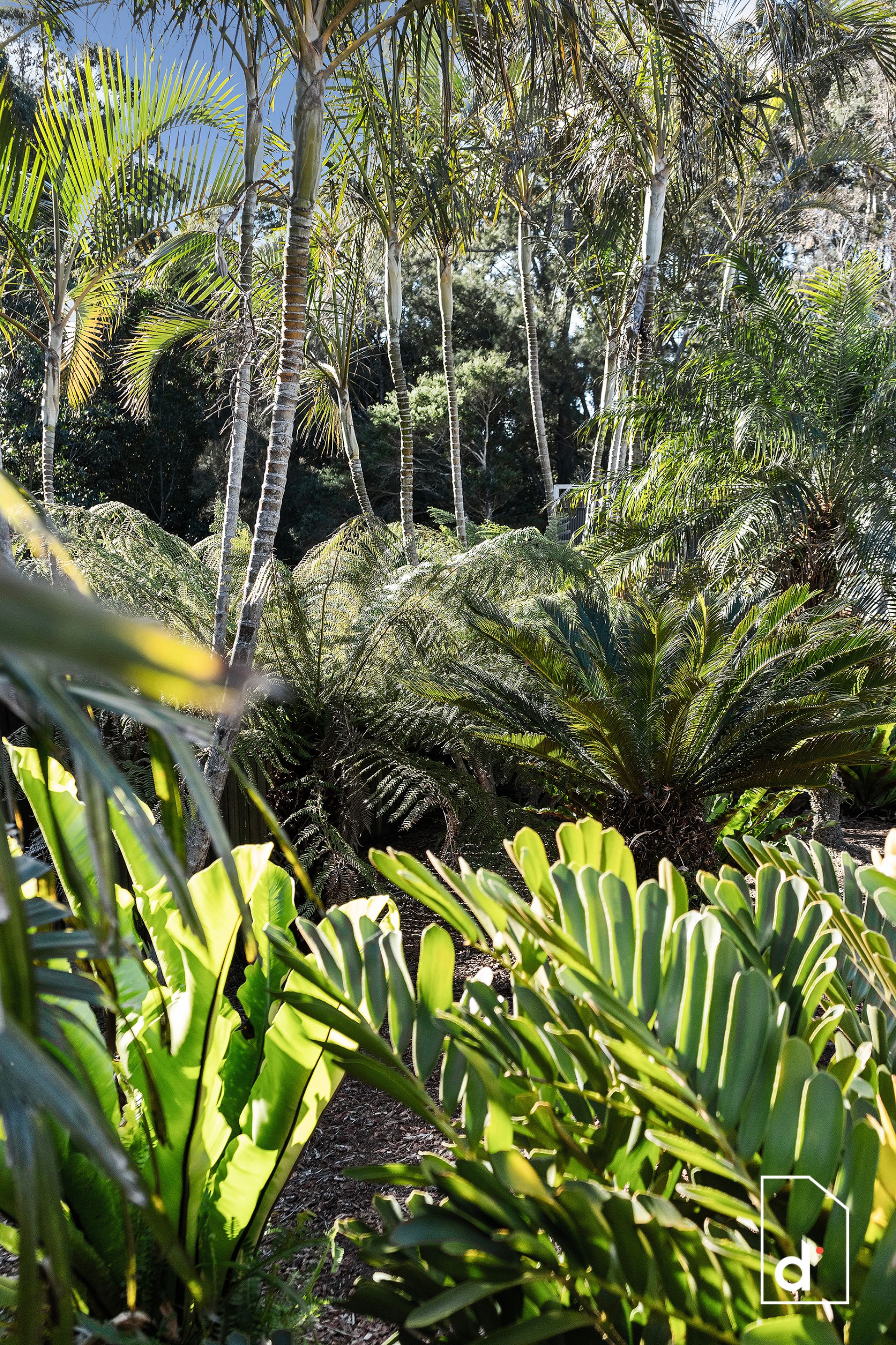 44 Caldwell Avenue, Tarrawanna NSW