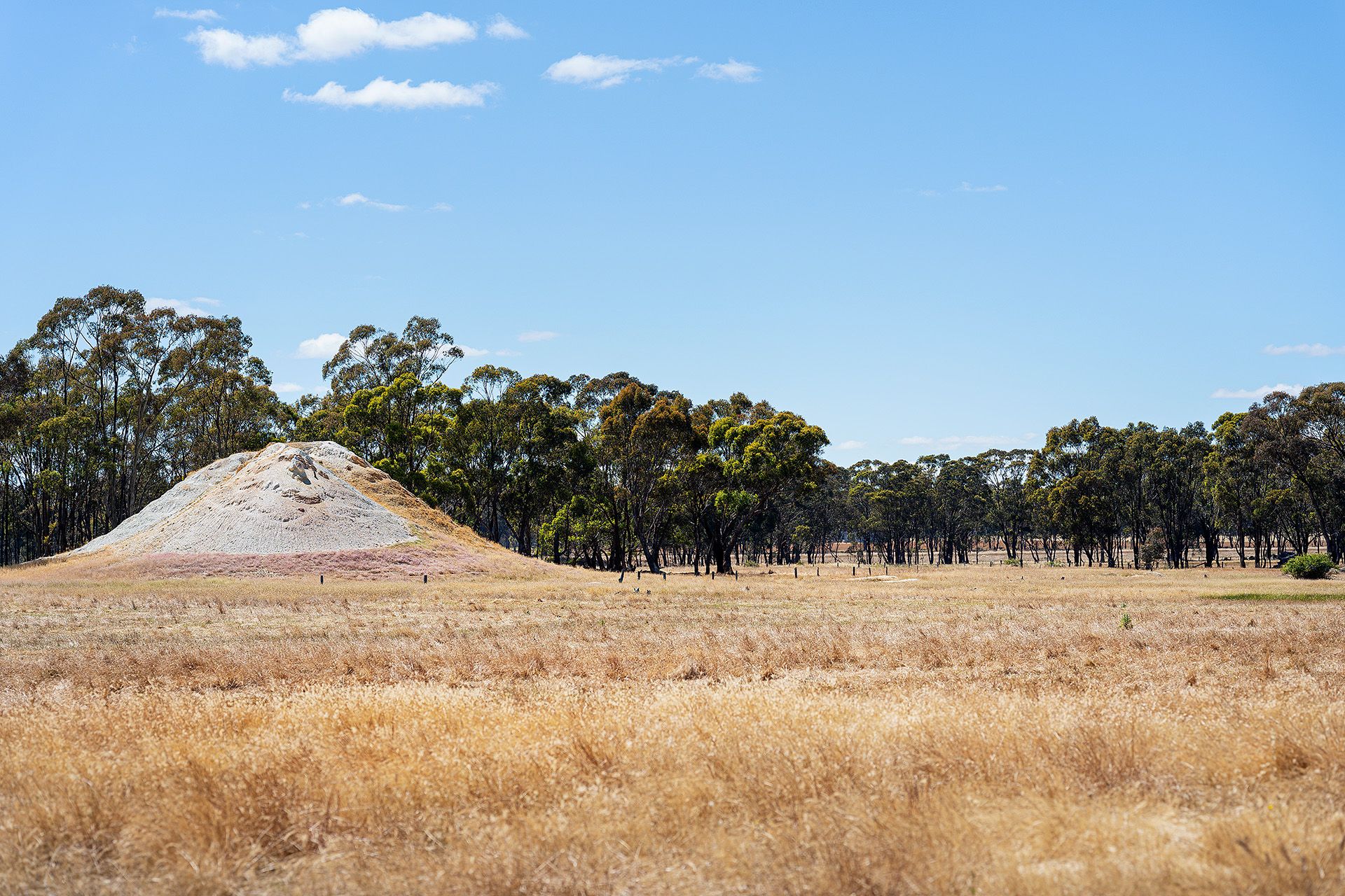 20 Ross Drive, Castlemaine - Thumbnail 3