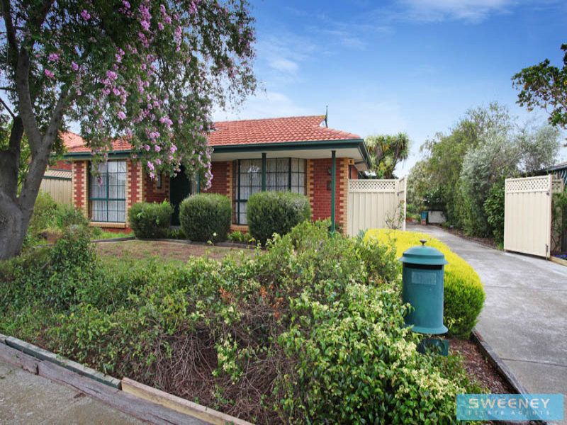 4 Profita Avenue, Sydenham - Thumbnail 2