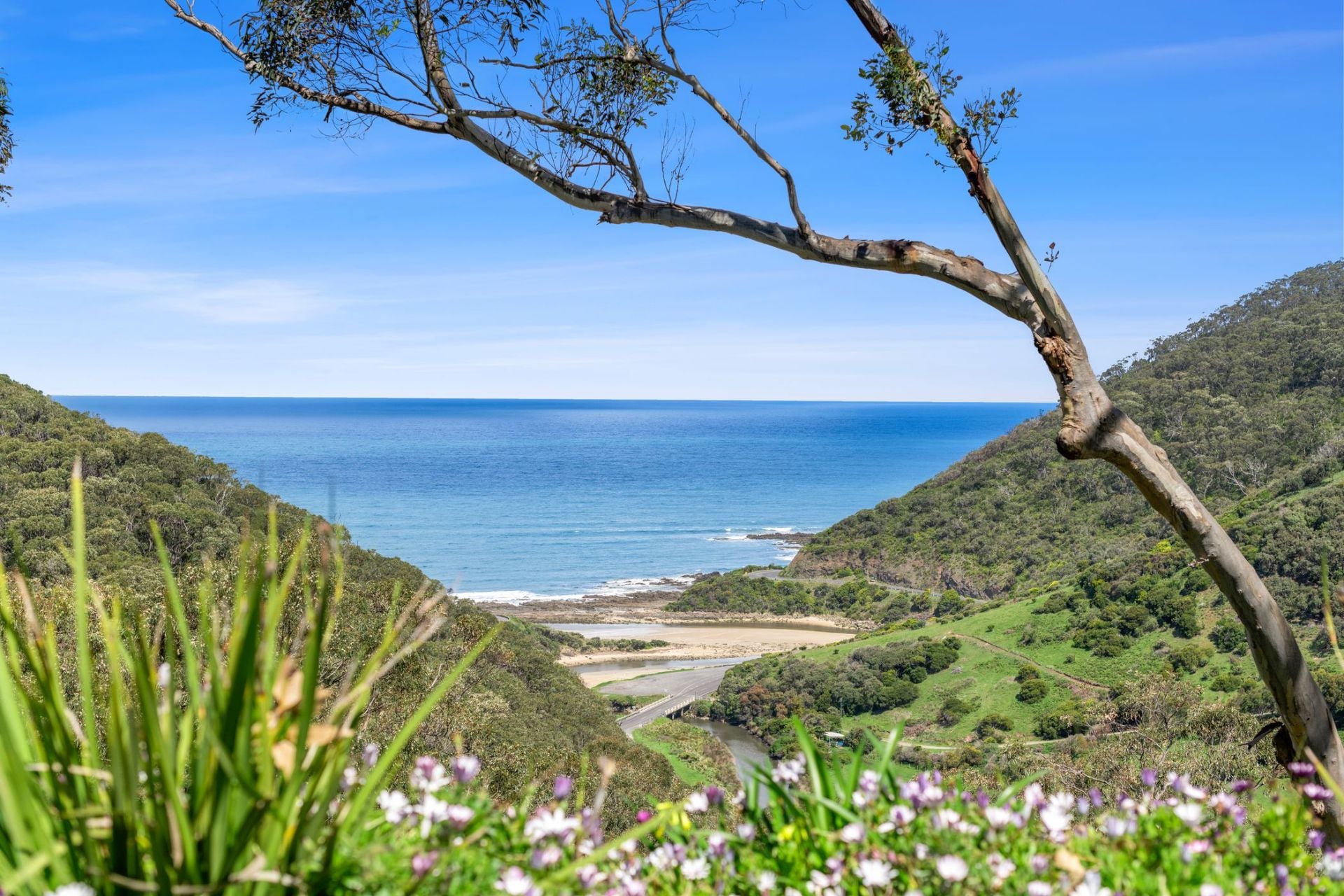 60 Albert Street, Lorne - Thumbnail 4