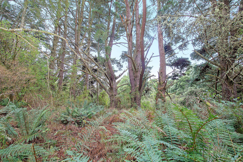 1100 Skenes Creek Road, Tanybryn, VIC, Tanybryn - Thumbnail 4