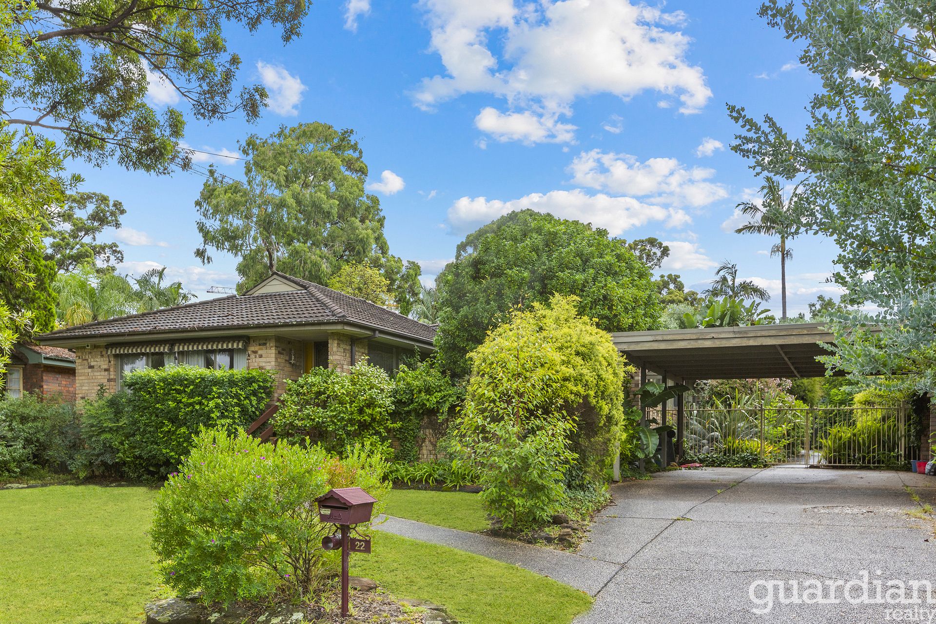 22 Partridge Avenue Castle Hill NSW, Castle Hill - Thumbnail 4