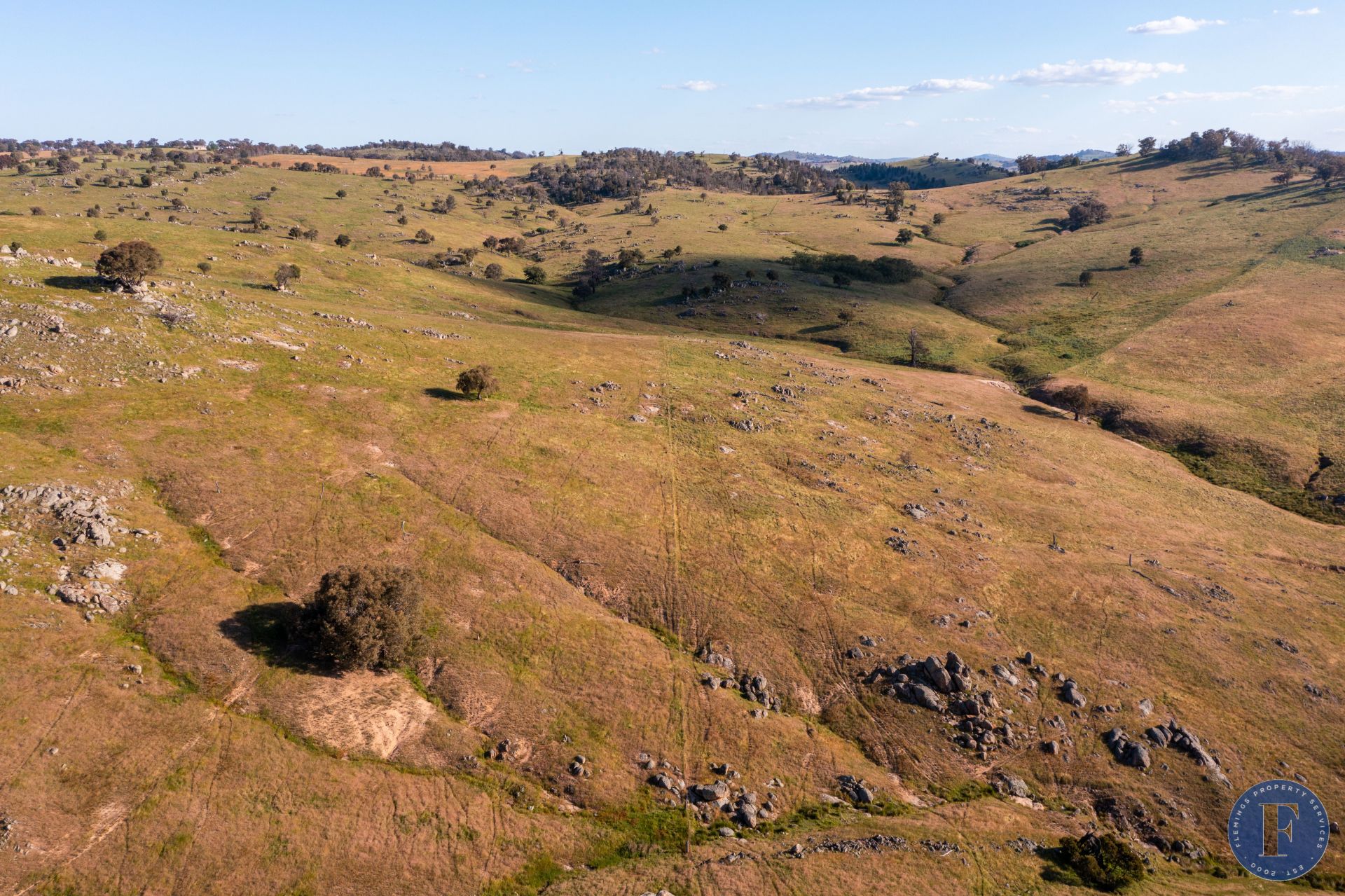 'Tyrone' 355 Ironbark Lane, Frogmore NSW, Frogmore - Thumbnail 5