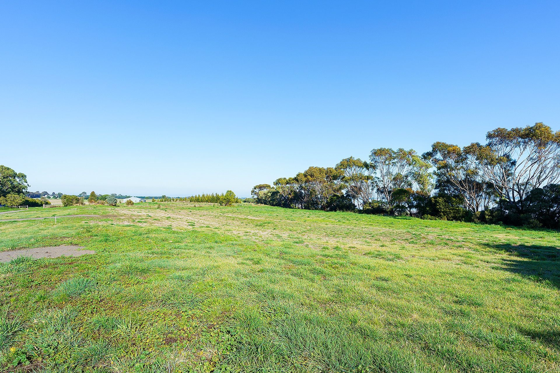 5 Adams Road, Harcourt - Thumbnail 4