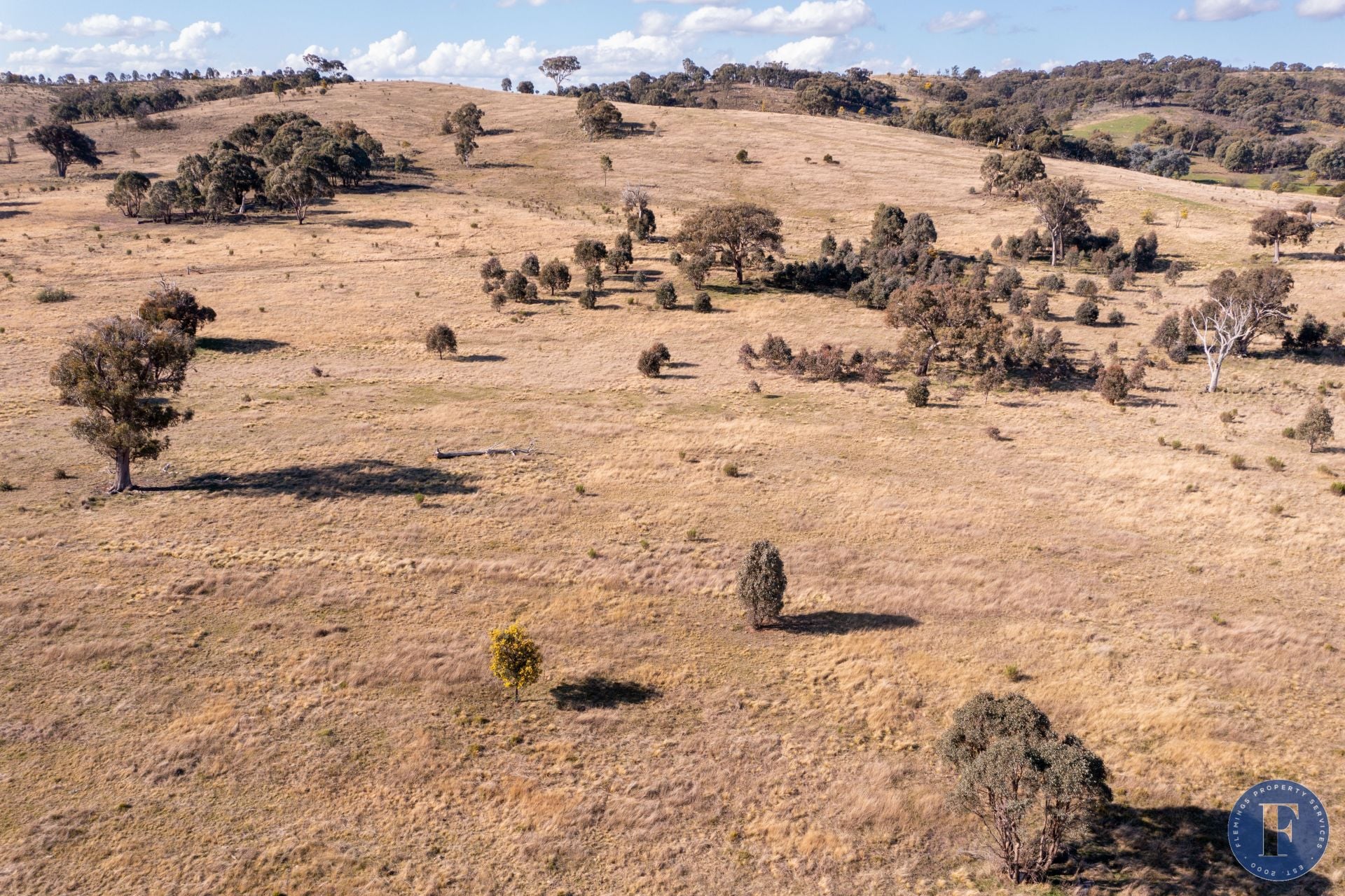 Lot 201, 2 Berrebangelo Road, Bellmount Forest NSW, 2 Berrebangelo Road, Bellmount Forest - Thumbnail 4