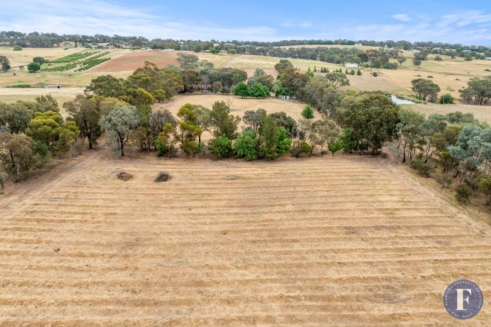 54 Kellys Road, Young NSW, Young - Thumbnail 7