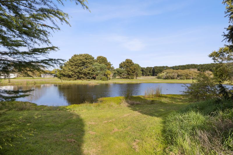 1390 Birregurra-Deans Marsh Road, Deans Marsh, VIC, Deans Marsh - Thumbnail 5