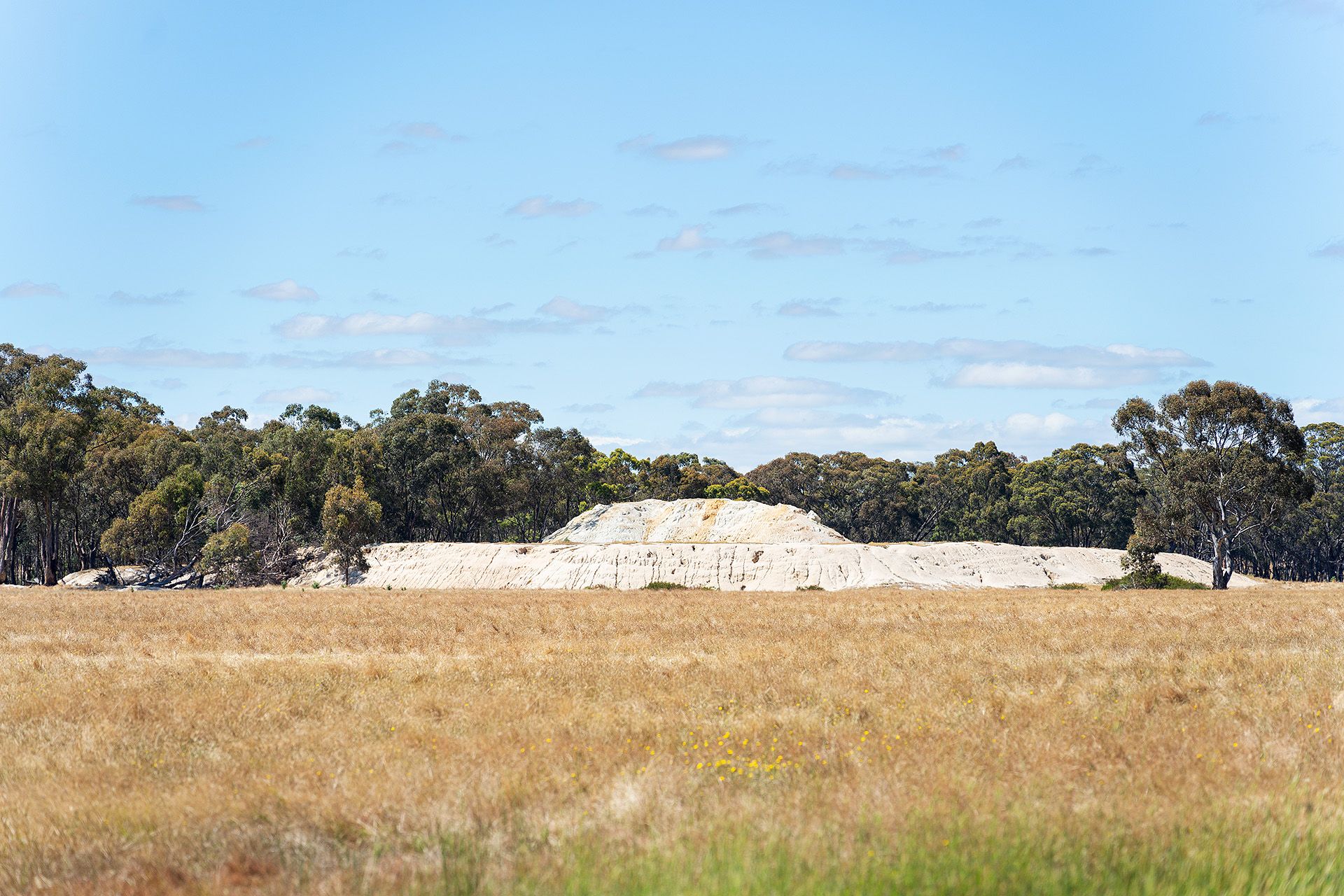 Lot 5, 58 Main Street Eldorado, Harcourt - Thumbnail 4