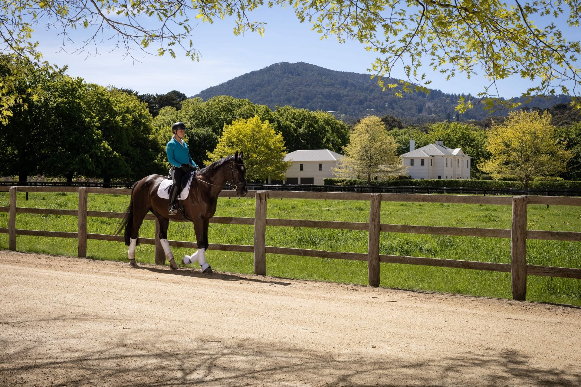 38 Syndicate Road, Mount Macedon, Mount Macedon - Thumbnail 4