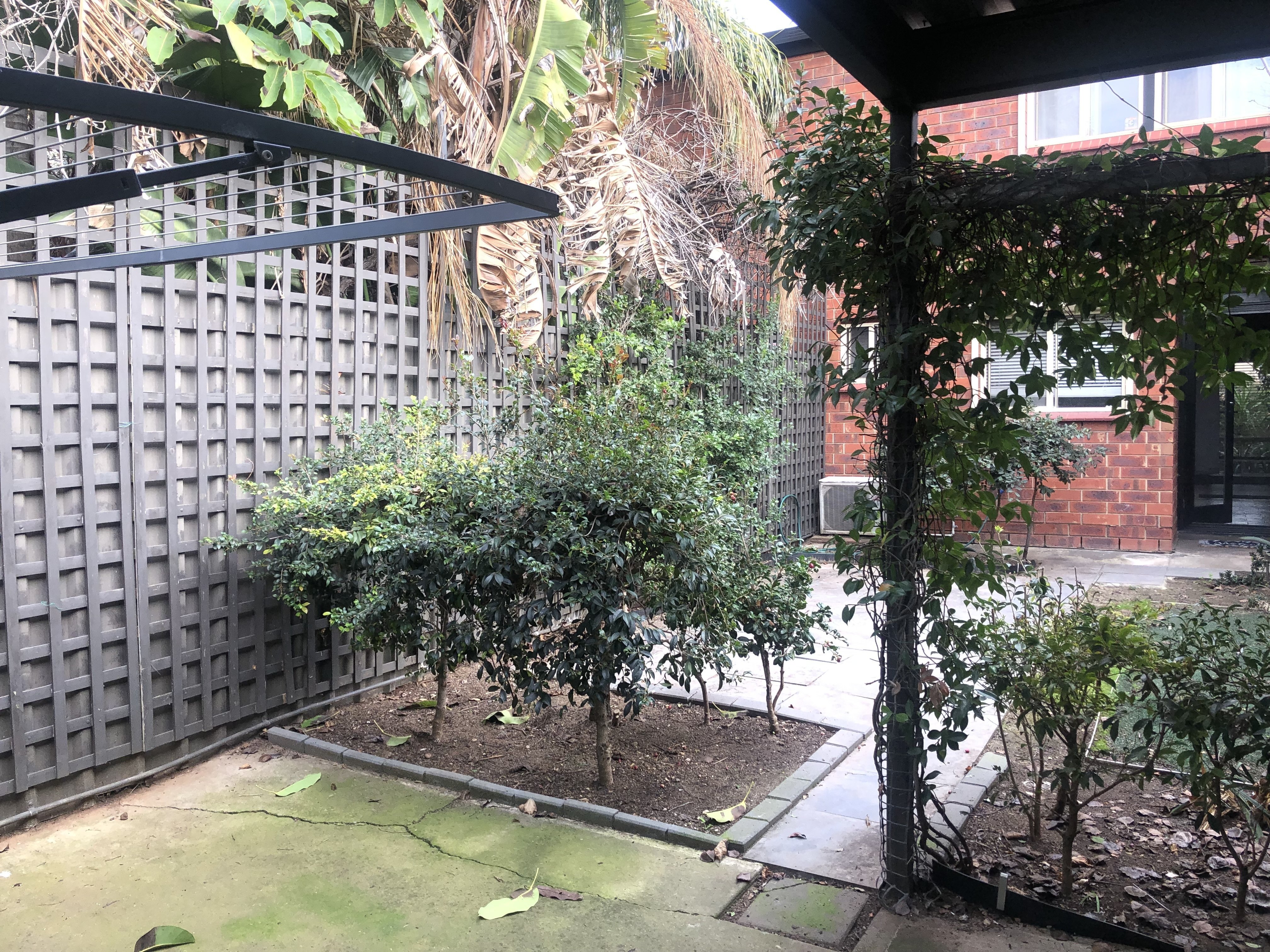 17 Brown Street Brompton 5007