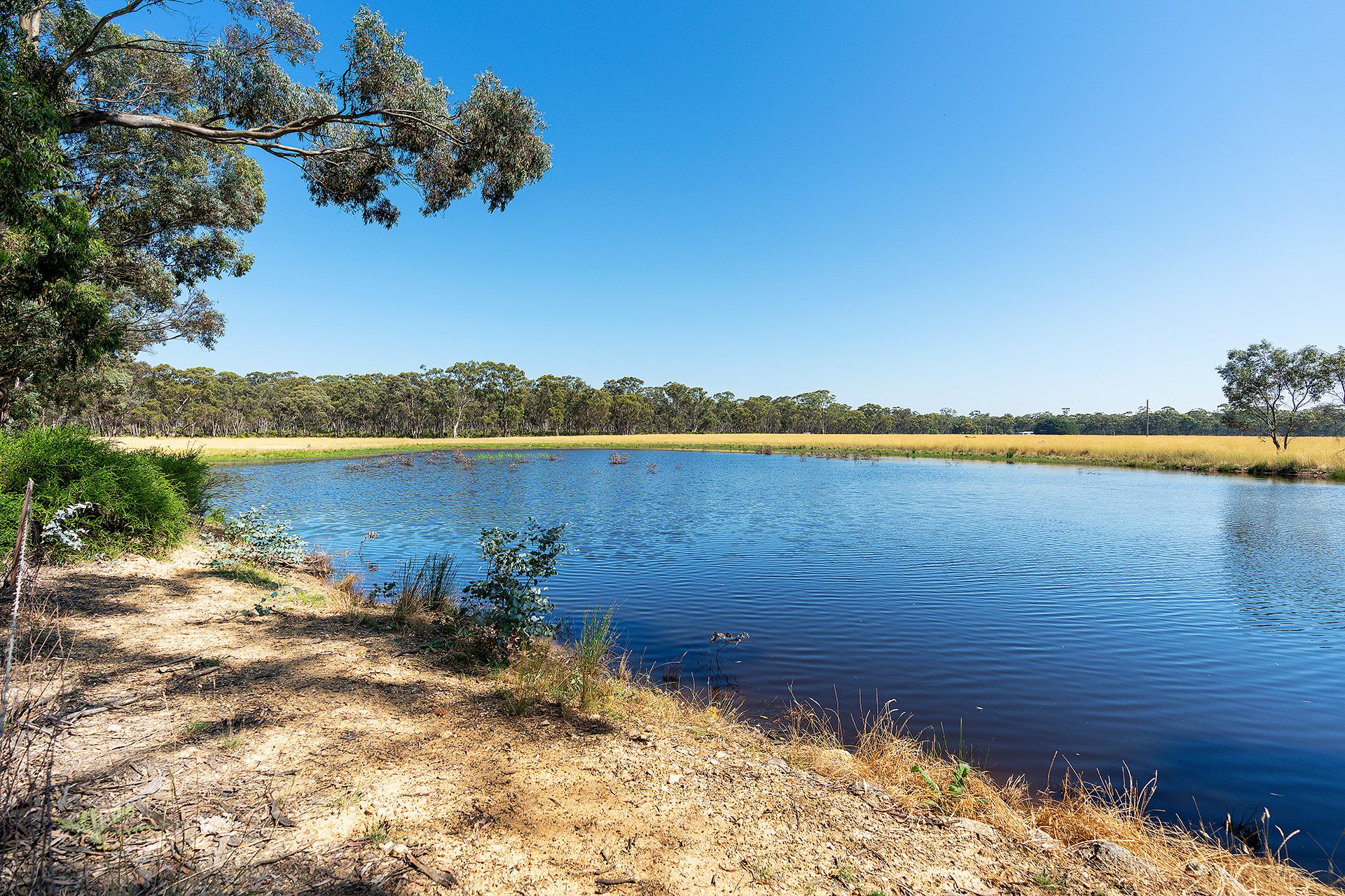 Lot 5, 58 Main Street Eldorado, Harcourt - Thumbnail 5