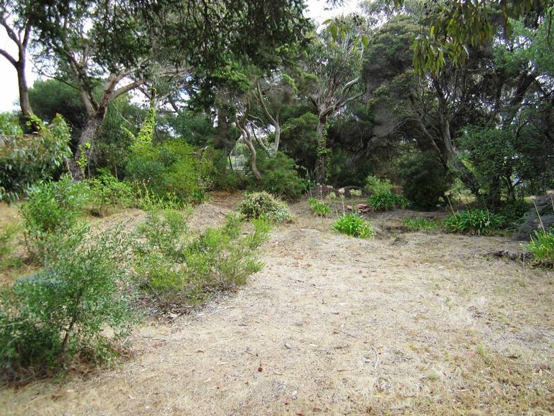 87 Seventh Avenue, Anglesea, VIC, Anglesea - Thumbnail 4