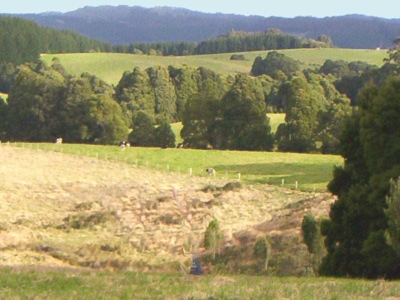 22 Main Road BEECH FOREST VIC, Beech Forest - Thumbnail 8