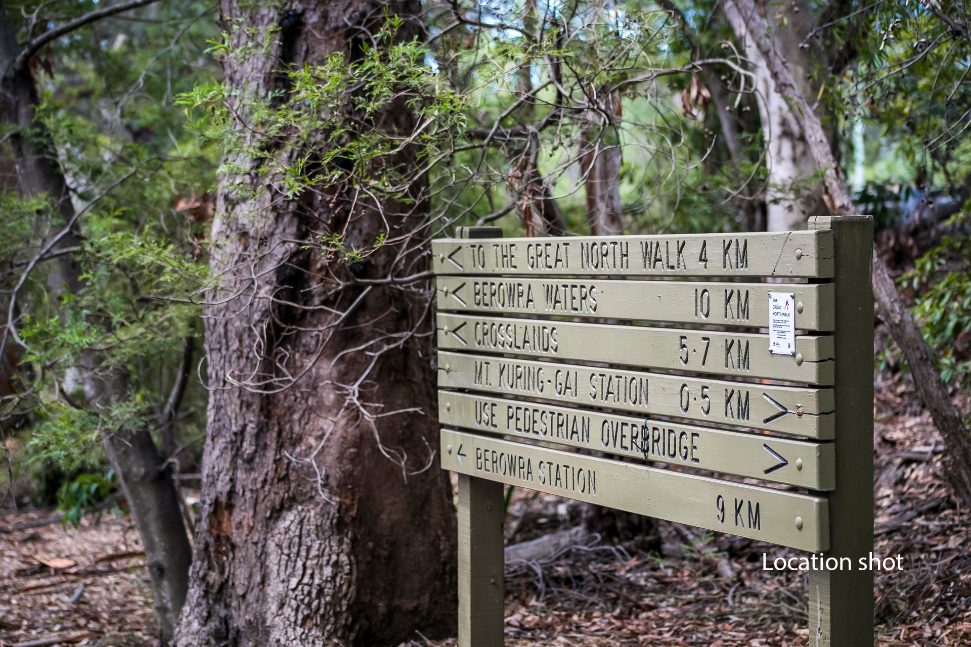 Real Estate For Sale 12 King Street Mount Kuringgai , NSW