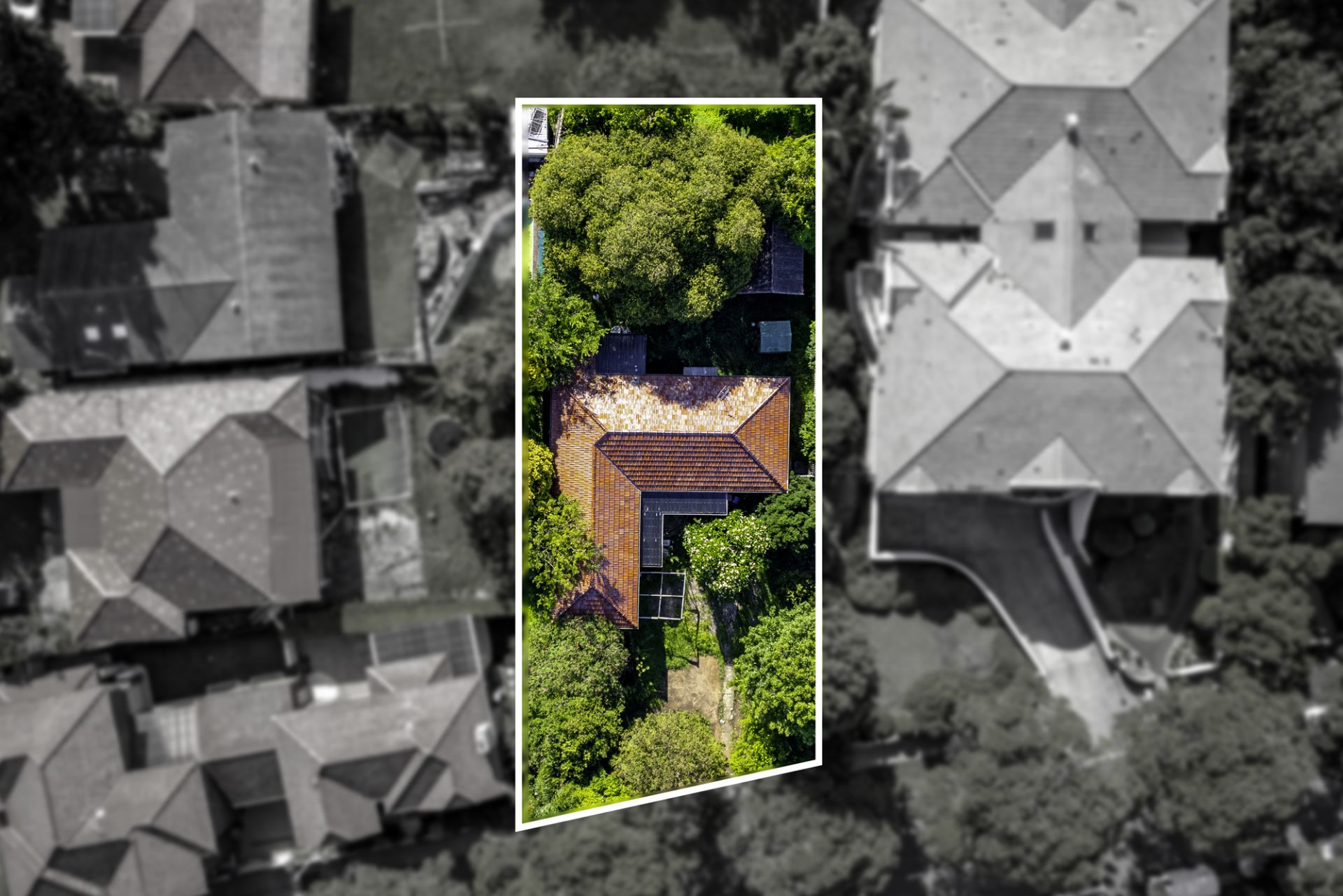 15 Homebush Road, Strathfield, Strathfield - Thumbnail 2