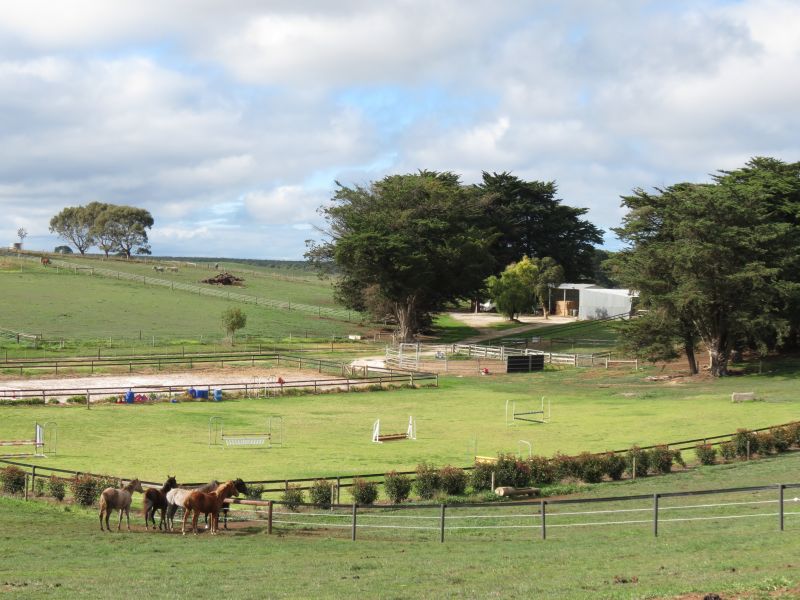 297 Yahl Hall Road Mount Gambier SA, Mount Gambier - Thumbnail 3