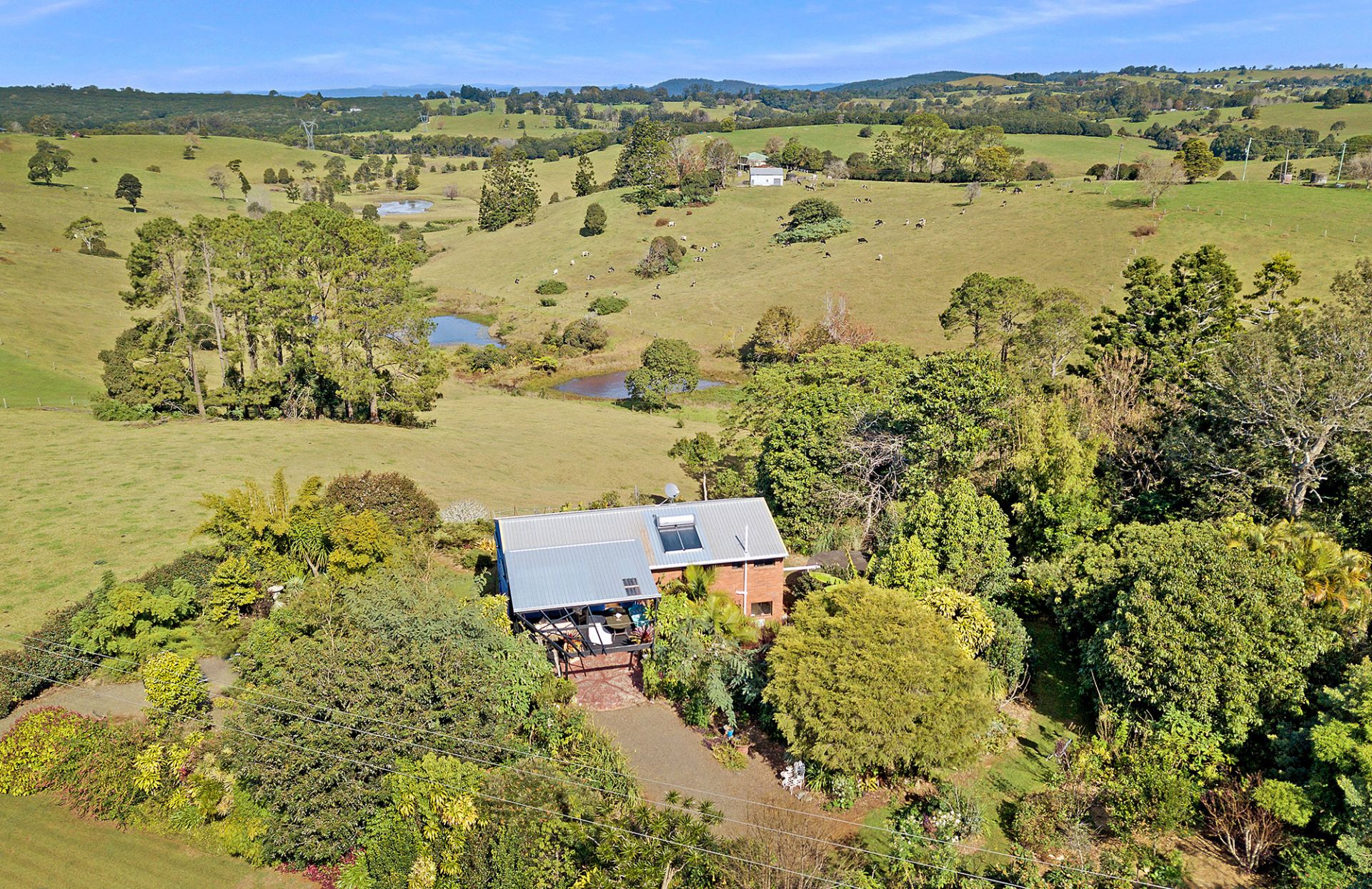 36 Kings Lane REESVILLE QLD, Reesville - Thumbnail 2