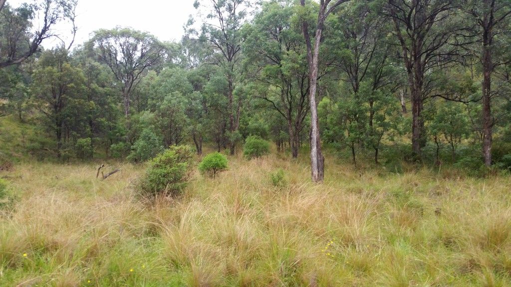 1715 Kangaroo Flat Road, YARROWITCH NSW 2354