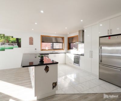 152 David Street, East Devonport, East Devonport - Thumbnail 4