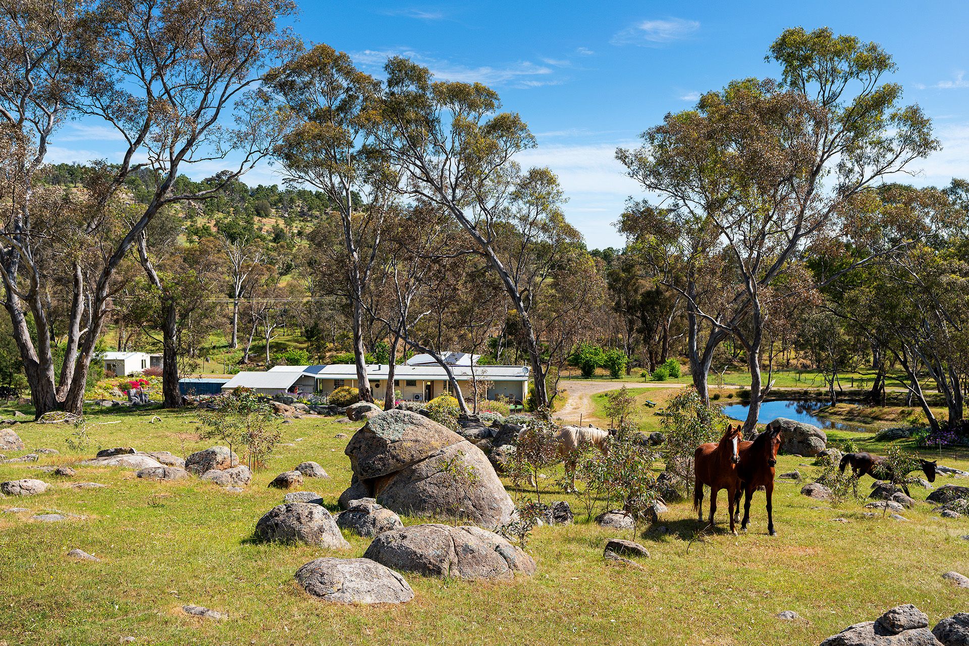 396 Bridgewater Maldon Road, Maldon - Thumbnail 3