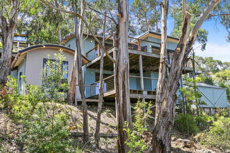 22 Summerhills Avenue, Lorne, VIC, Lorne - Thumbnail 8