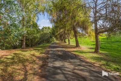 4
 
 
 
  
 
 
 2
 
 
 
  
 
 
 2
 
 
 
 
 
 
 
 57 Lodder Road, Don TAS 7310, Don - Thumbnail 4