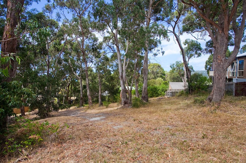 1-3/13-15 Normanby Terrace, Lorne, VIC, Lorne - Thumbnail 3