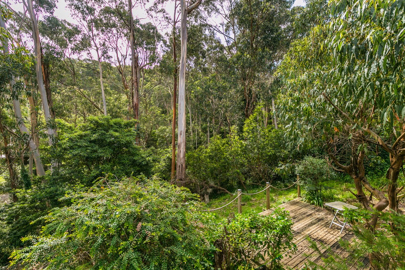 9 Mitchell Grove, Separation Creek, VIC, Separation Creek - Thumbnail 5