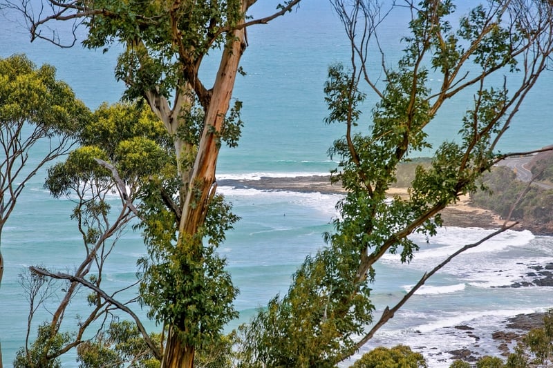 42 Karingal Drive, Wye River, VIC, Wye River - Thumbnail 2