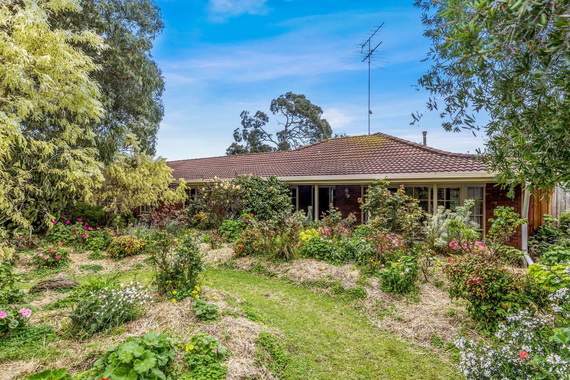4-6 Eggleston Street Ocean Grove VIC, Ocean Grove - Thumbnail 3
