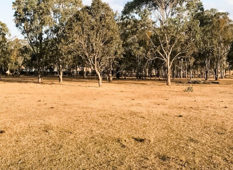 Lot 200 Aphrah Avenue Crows Nest QLD, Crows Nest - Thumbnail 4