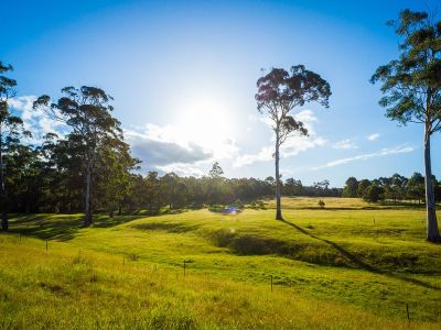 Lot 8, 13 Millingandi Road, Millingandi