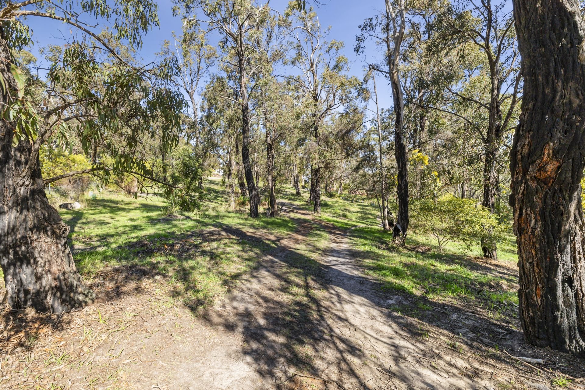 Real Estate For Sale 49 Hopkins Street Aireys Inlet , VIC