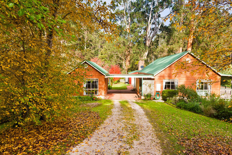 1135 Barham River Road, Apollo Bay, VIC, Apollo Bay - Thumbnail 3