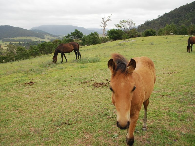 25 New Buildings Road, New Buildings