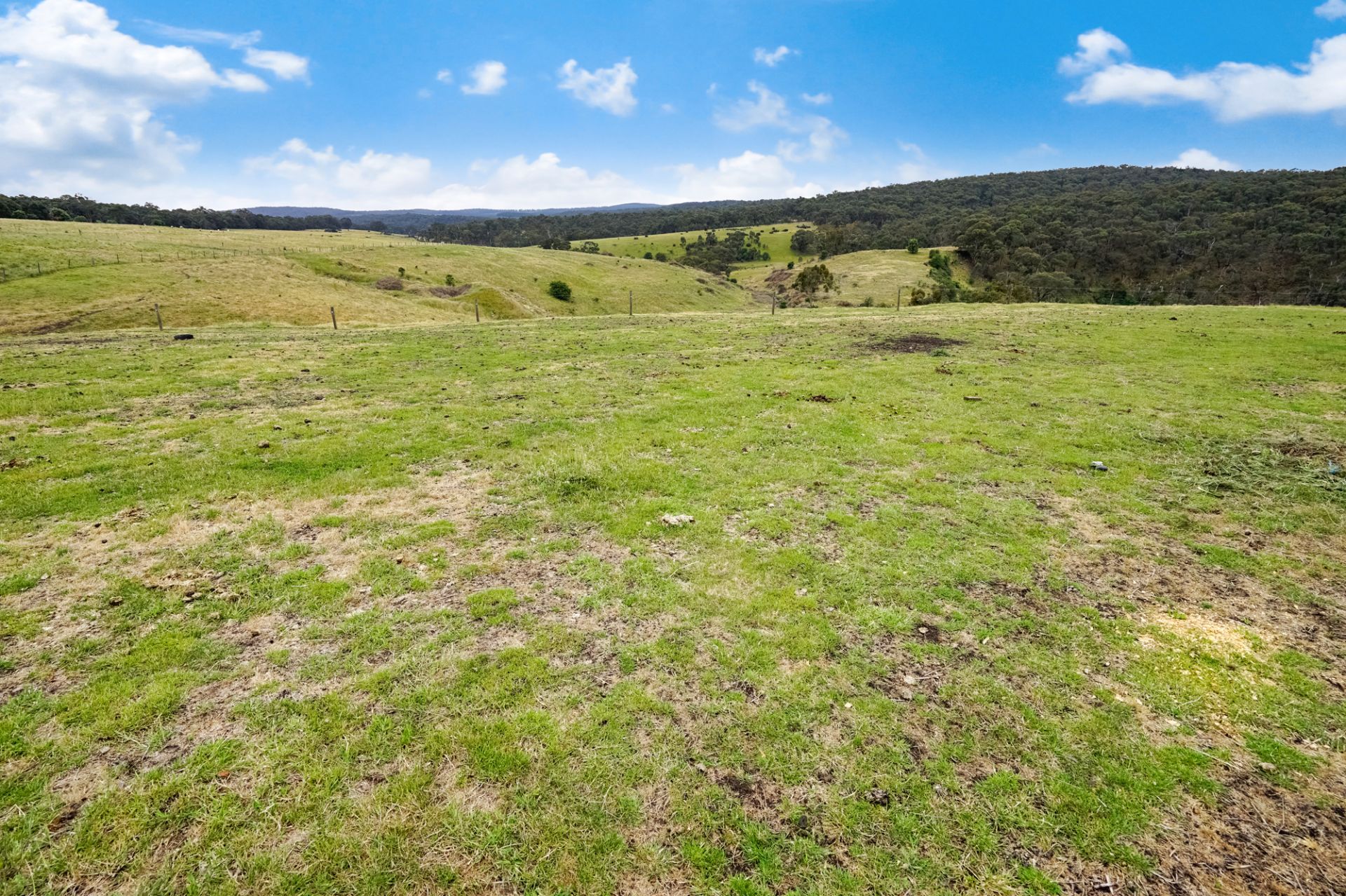 571 Linton-Piggoreet Road Happy Valley VIC, Happy Valley - Thumbnail 2